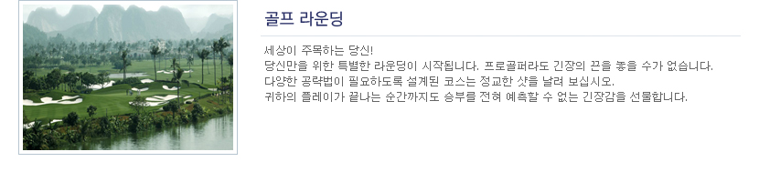 골프라운딩