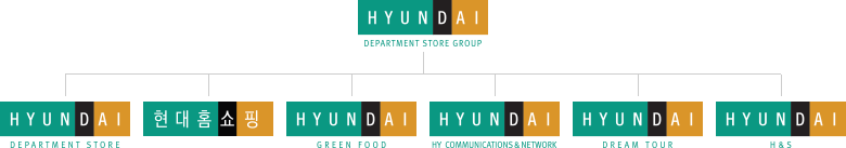 Hyundai Department Wordmark